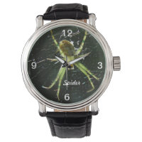 Veille verte à araignée