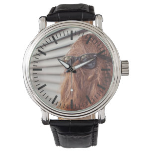 Montre Vers l'arrière dans la vie