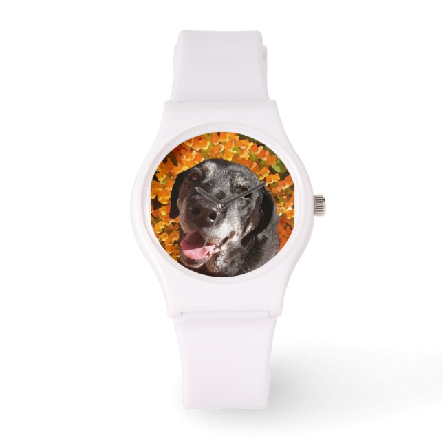 Montre Vieux-Labrador (Recto)