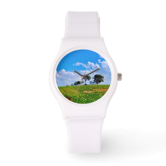 Montre Viña de Los Pinos (Recto)