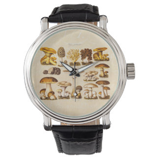 Montre Vintage 1800s Variété de champignons Modèle
