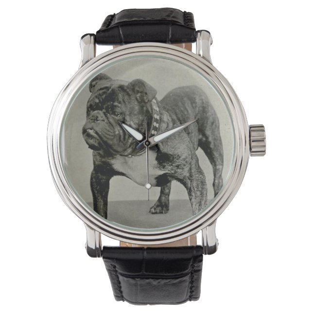 Montre Vintage English Bulldog (devant)