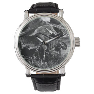 Montre Vintage États-Unis Oie taureau de l'Alaska