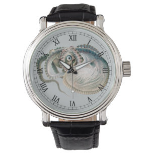 Montre Vintage Octopus Argonaut, Marine Life Animaux