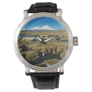 Montre Volcans Payachalas