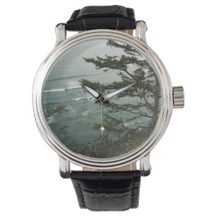 Montre Vue de Simpson Reef Overlook, Côte de l'Oregon