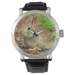 Montre WA, Redmond, lapin bébé à queue blanche