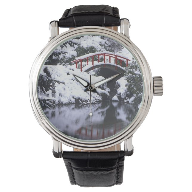 Montre WA, Seattle, pont Moon et étang après l'hiver 2 (devant)