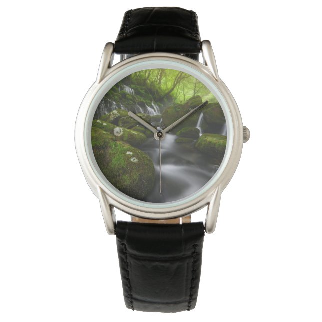 Montre Waterfalls | Satoyama Kisakata Waterfalls (devant)