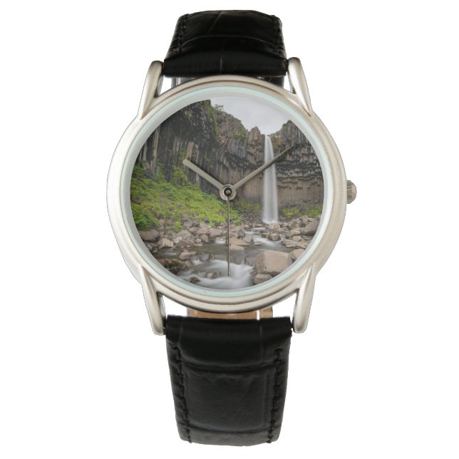 Montre Waterfalls | Svartifoss Waterfall, South Iceland (devant)