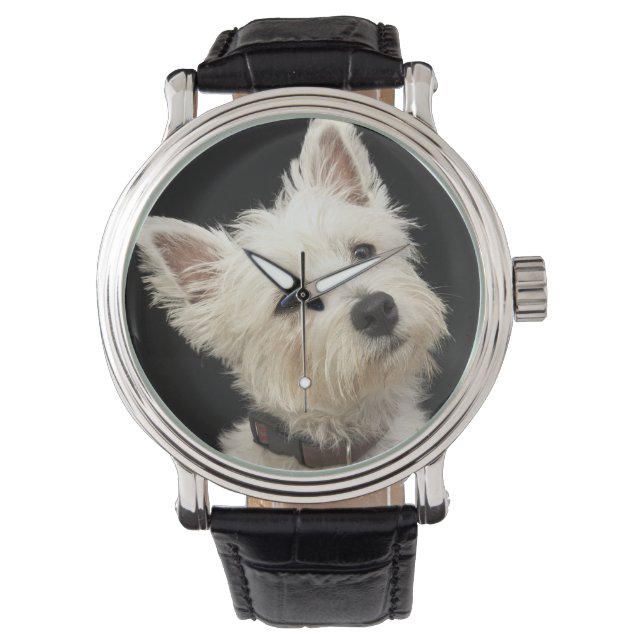 Montre Westie (West Highland terrier) avec col (devant)