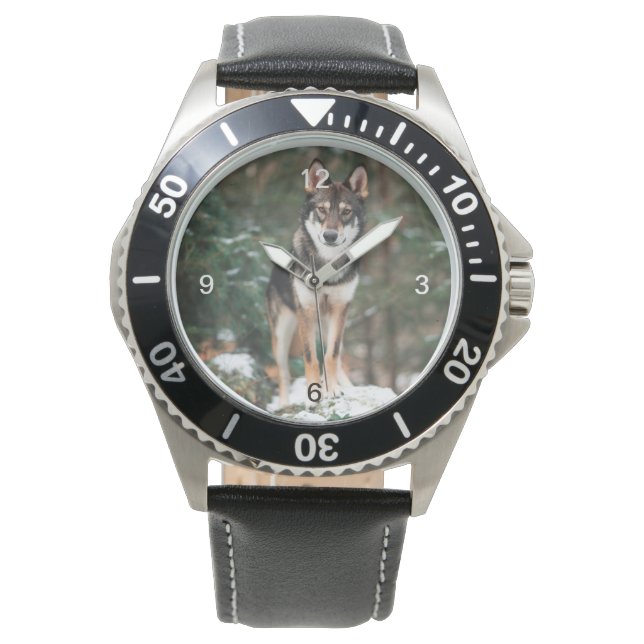 Montre Wolfdog (devant)