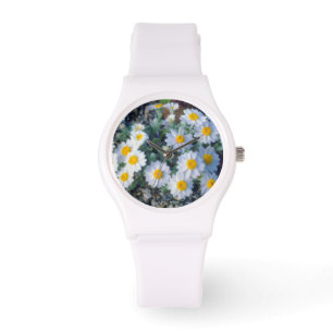 Montre Woolly Daisy Wildflowers