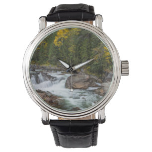 Montre Yaak tombe en automne dans le Kootenai National