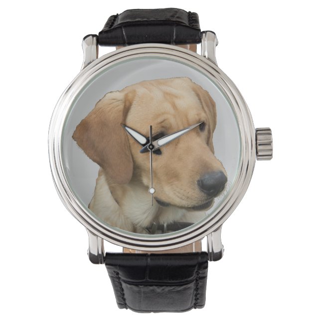 Montre Yellow Labrador Retriever (devant)