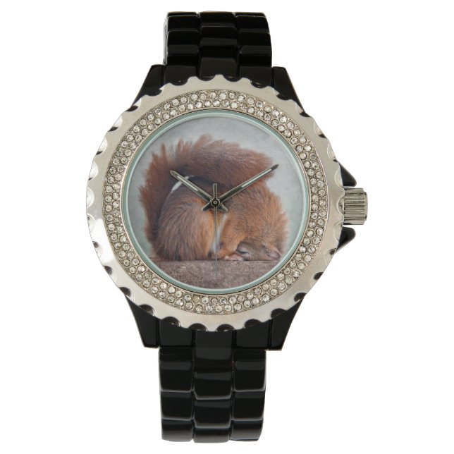Montre Yoga Squirrel Watch (devant)
