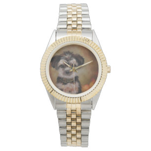 Montre Yorkie Poo