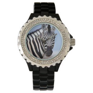 Montre Zebra looking at you