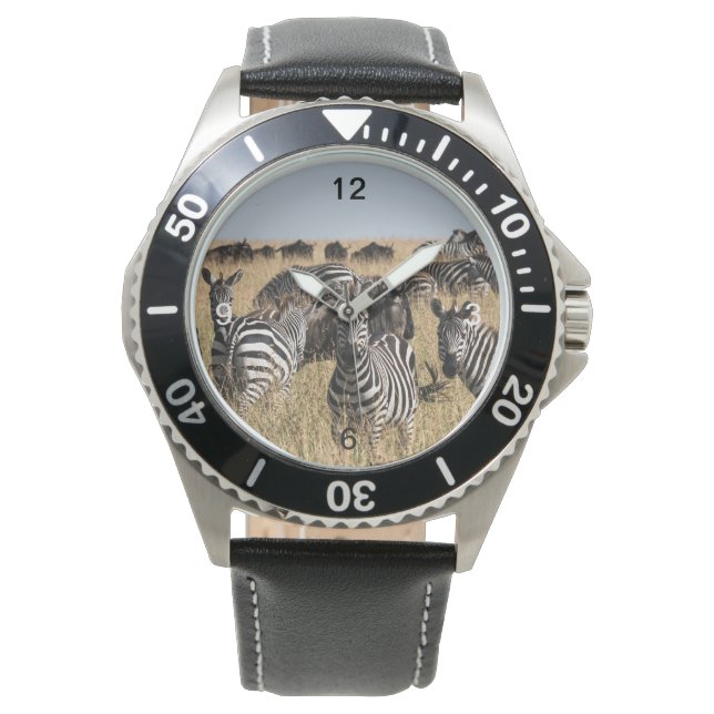 Montre Zèbre de Grant (devant)