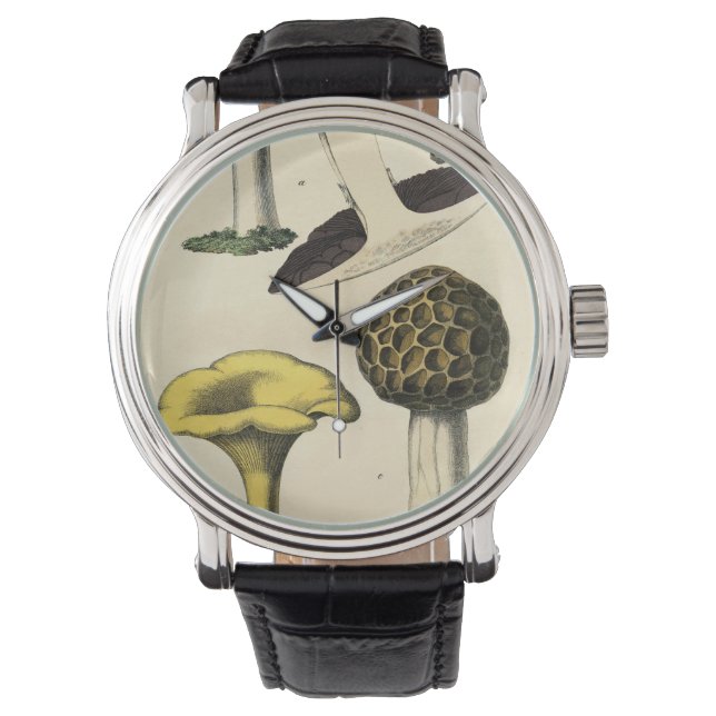 Montres de champignons britanniques vintages (devant)