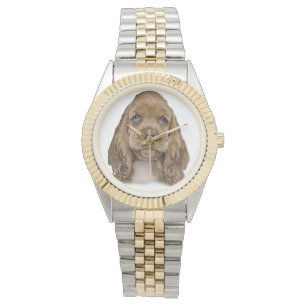 Montres de chiot spaniel Cocker