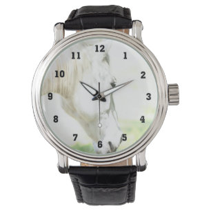 Montres de photographie de cheval