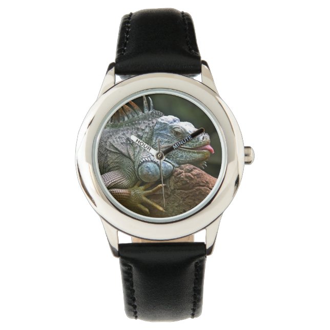Montres Iguana (devant)