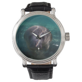 Montres mignonnes pour bébé manatee pour hommes, f
