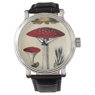 Montres vintages de champignon