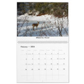 Monts Adirondack de New York Calendrier 12 mois (Feb 2026)