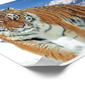 Monts du Tigre de neige Nature Poster photo hiver (Coin)