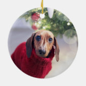 Monument aux chiens photo retour Ornement en céram (Dos)