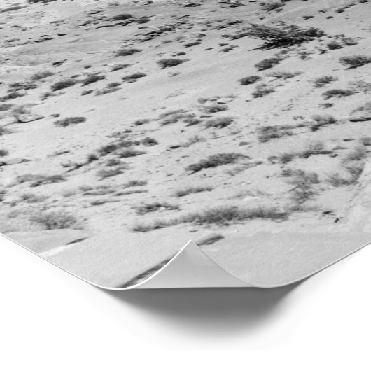 Monument Valley Black and White Panoramic Poster (Coin)