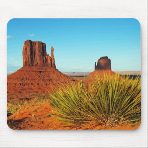 Monument Valley Muismat