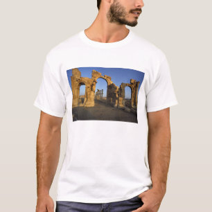 Monumentale Boog, Palmyra, Homs, Syrië T-shirt