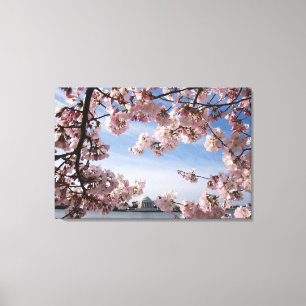 Monumenten Jefferson Memorial Cherry Blossoms Canvas Afdruk