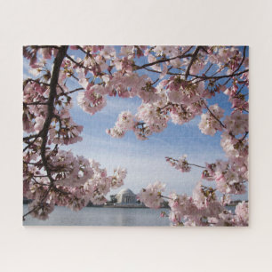 Monumenten Jefferson Memorial Cherry Blossoms Legpuzzel