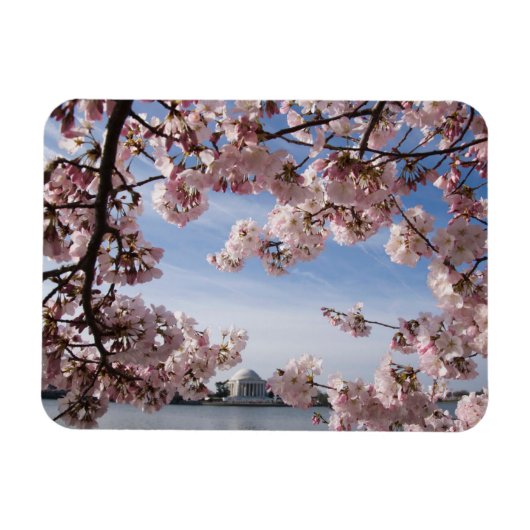 Monumenten | Jefferson Memorial Cherry Blossoms Magneet (Horizontaal)
