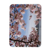 Monumenten | Jefferson Memorial Cherry Blossoms Magneet (Verticaal)