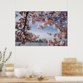 Monumenten | Jefferson Memorial Cherry Blossoms Poster (Keuken)