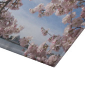 Monumenten | Jefferson Memorial Cherry Blossoms Snijplank (Hoek)