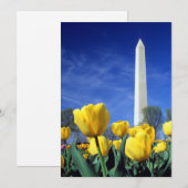 Monumenten | Washington Monument in Spring Bedankkaart (Voorkant / Achterkant)