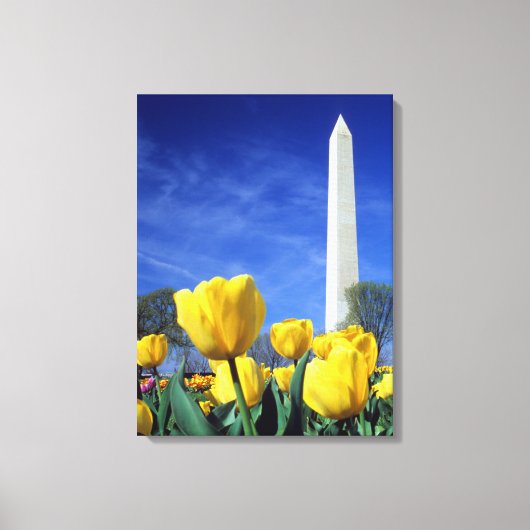 Monumenten | Washington Monument in Spring Canvas Afdruk (Voorkant)