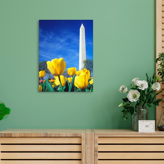 Monumenten | Washington Monument in Spring Canvas Afdruk