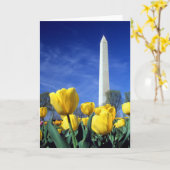 Monumenten | Washington Monument in Spring Kaart (Gele Bloem)