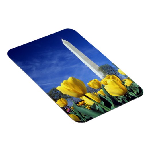 Monumenten | Washington Monument in Spring Magneet (Rechterzijde)