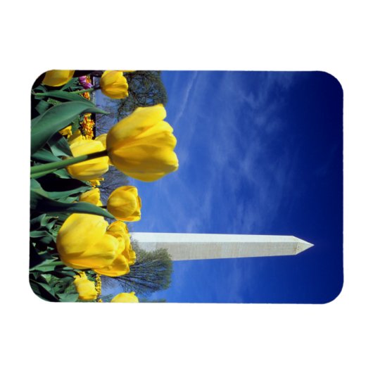 Monumenten | Washington Monument in Spring Magneet (Horizontaal)