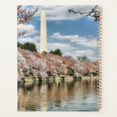 Monuments | Memorial (Dos)