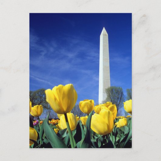 Monuments | Washington Monument in Spring Briefkaart (Voorkant)