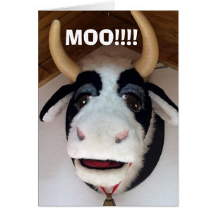 MOO-"40" EST QUELQUE CHOSE À MOO À PROPOS DE PARLE